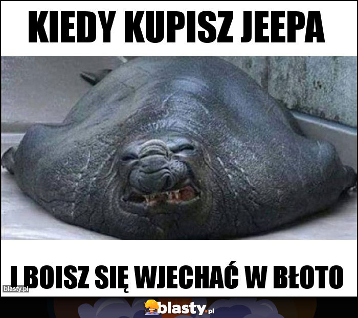 Kiedy kupisz jeepa Kiedy kupisz jeepa