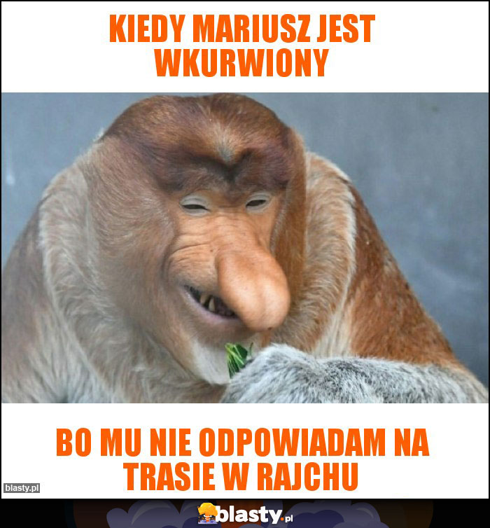 KIEDY MARIUSZ JEST WKURWIONY KIEDY MARIUSZ JEST WKURWIONY