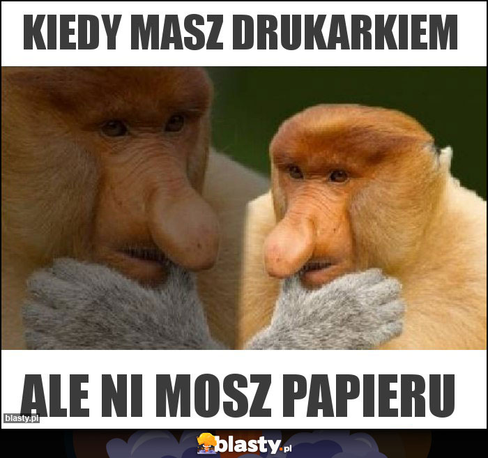 KIEDY MASZ DRUKARKIEM