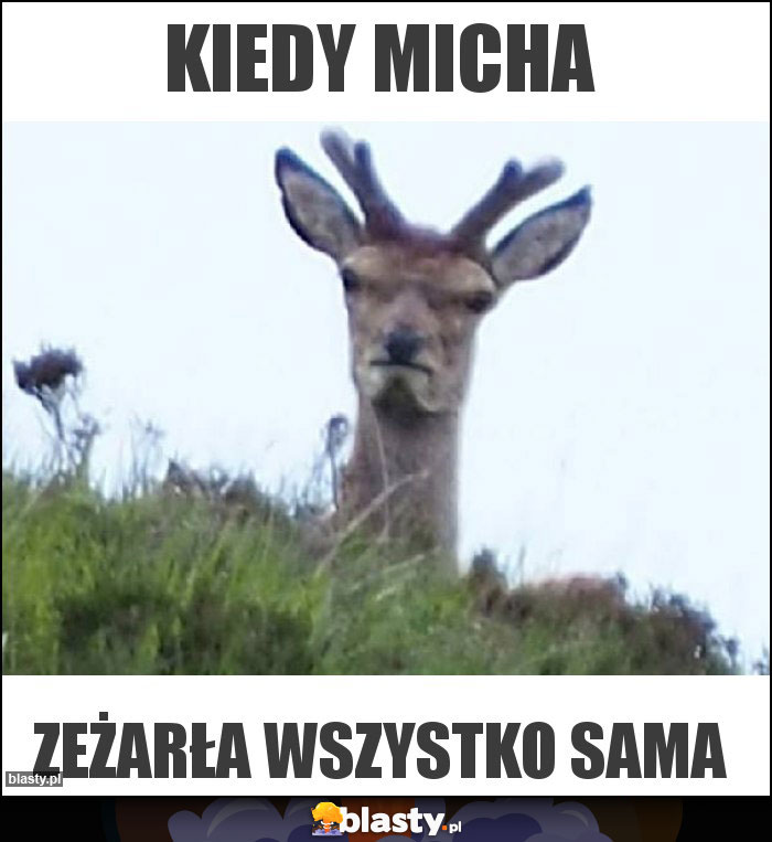 Kiedy micha Kiedy micha