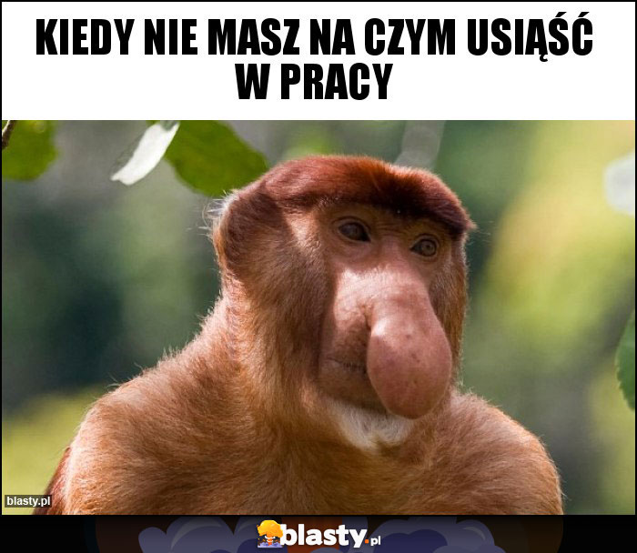 Kiedy nie masz na czym usiąść w pracy Kiedy nie masz na czym usiąść w pracy
