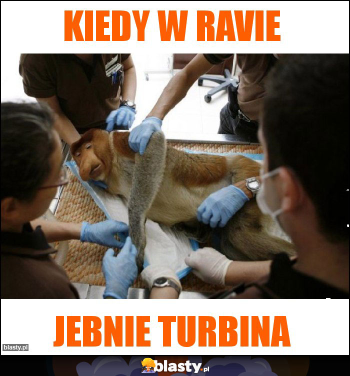 Kiedy w Ravie Kiedy w Ravie