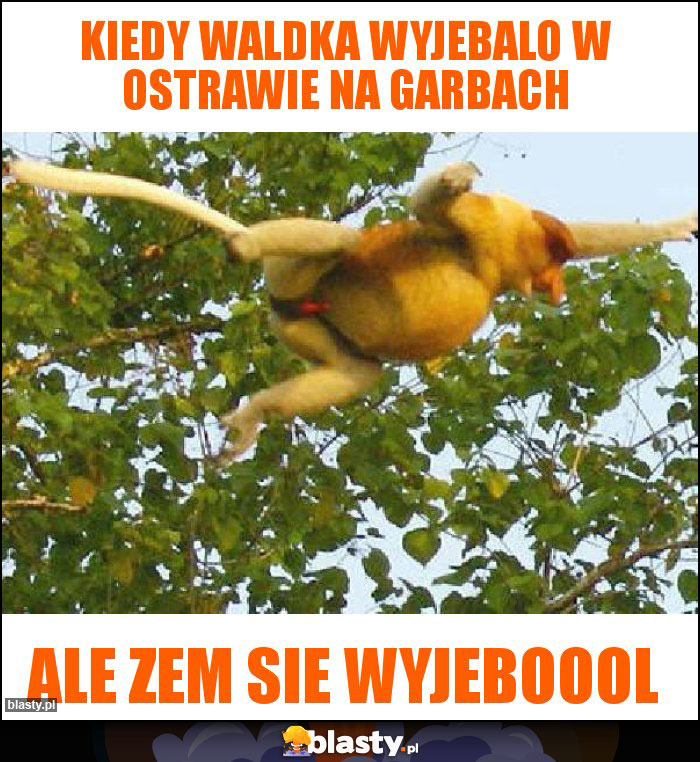 Kiedy Waldka wyjebalo w Ostrawie na garbach Kiedy Waldka wyjebalo w Ostrawie na garbach