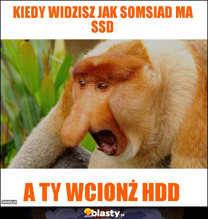 Kiedy widzisz jak somsiad ma SSD Kiedy widzisz jak somsiad ma SSD