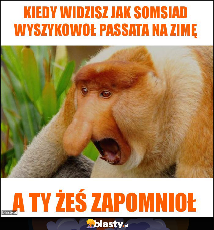 Kiedy widzisz jak somsiad wyszykowoł passata na zimę Kiedy widzisz jak somsiad wyszykowoł passata na zimę