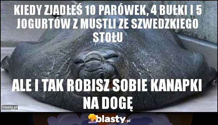 Kiedy zjadłeś 10 parówek, 4 bułki i 5 jogurtów z mustli ze szwedzkiego stołu Kiedy zjadłeś 10 parówek, 4 bułki i 5 jogurtów z mustli ze szwedzkiego stołu