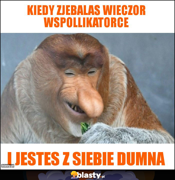kiedy zjebalas wieczor wspollikatorce kiedy zjebalas wieczor wspollikatorce