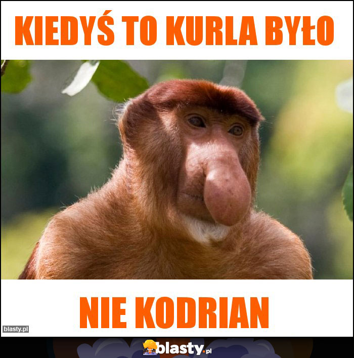 Kiedyś to kurla było Kiedyś to kurla było