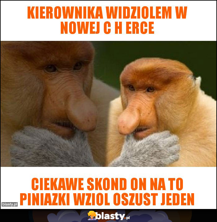 Kierownika widziolem w nowej C H erce Kierownika widziolem w nowej C H erce
