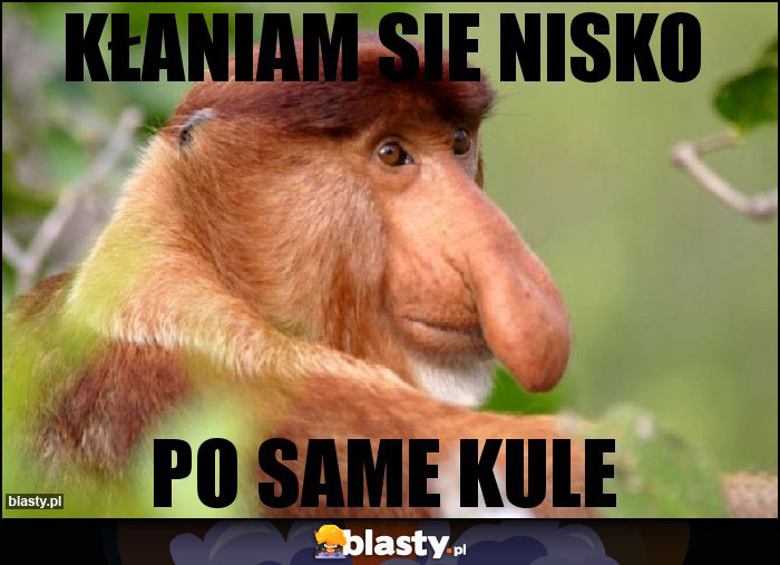 KŁANIAM SIE NISKO KŁANIAM SIE NISKO