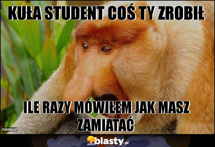 KUŁA STUDENT COŚ TY ZROBIŁ KUŁA STUDENT COŚ TY ZROBIŁ