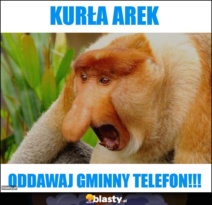 Kurła arek Kurła arek