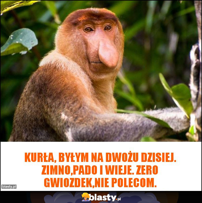 Kurła, byłym na dwożu dzisiej. Zimno,pado i wieje. Zero gwiozdek,nie polecom. Kurła, byłym na dwożu dzisiej. Zimno,pado i wieje. Zero gwiozdek,nie polecom.