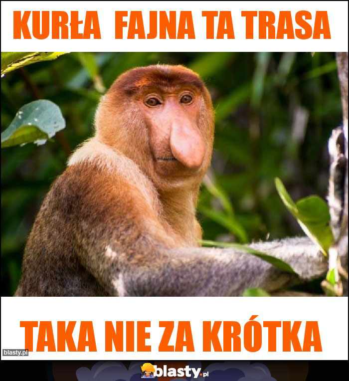 Kurła fajna ta trasa Kurła fajna ta trasa