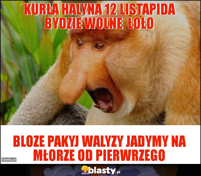Kurła halyna 12 listapida bydzie wolne łoło Kurła halyna 12 listapida bydzie wolne łoło