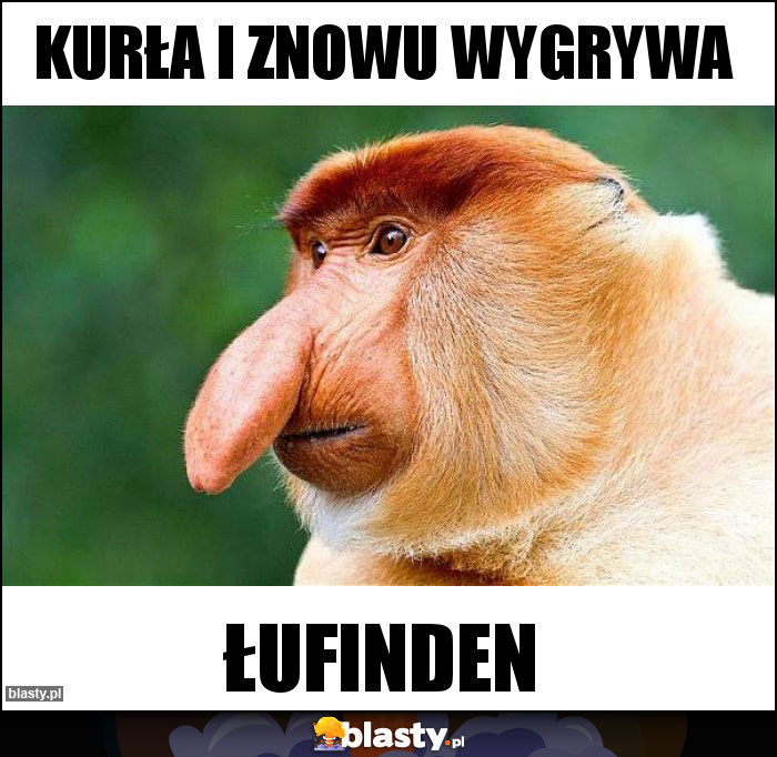 KURŁA I ZNOWU wygrywa KURŁA I ZNOWU wygrywa