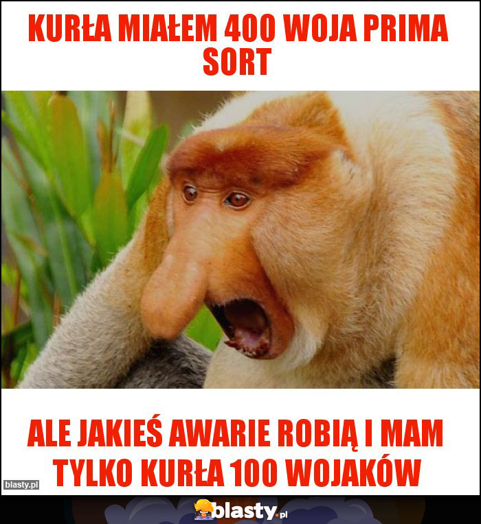 Kurła miałem 400 woja prima sort Kurła miałem 400 woja prima sort