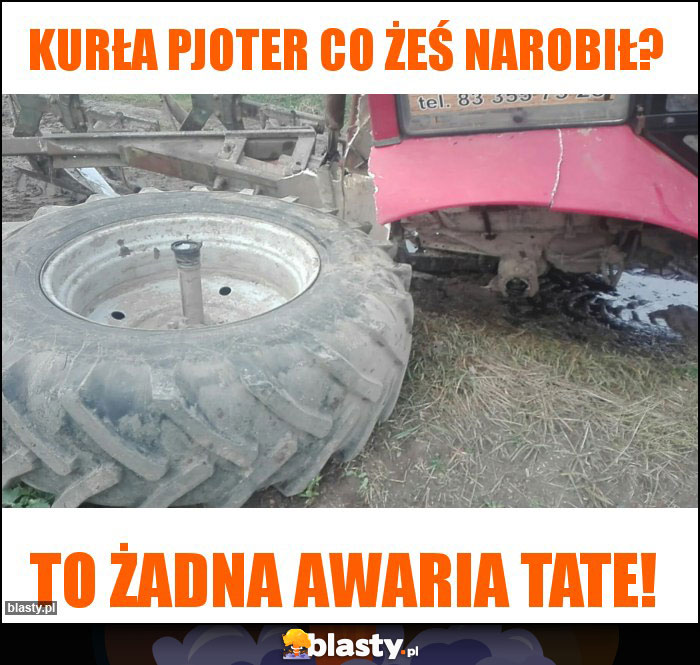 Kurła Pjoter co żeś narobił? Kurła Pjoter co żeś narobił?