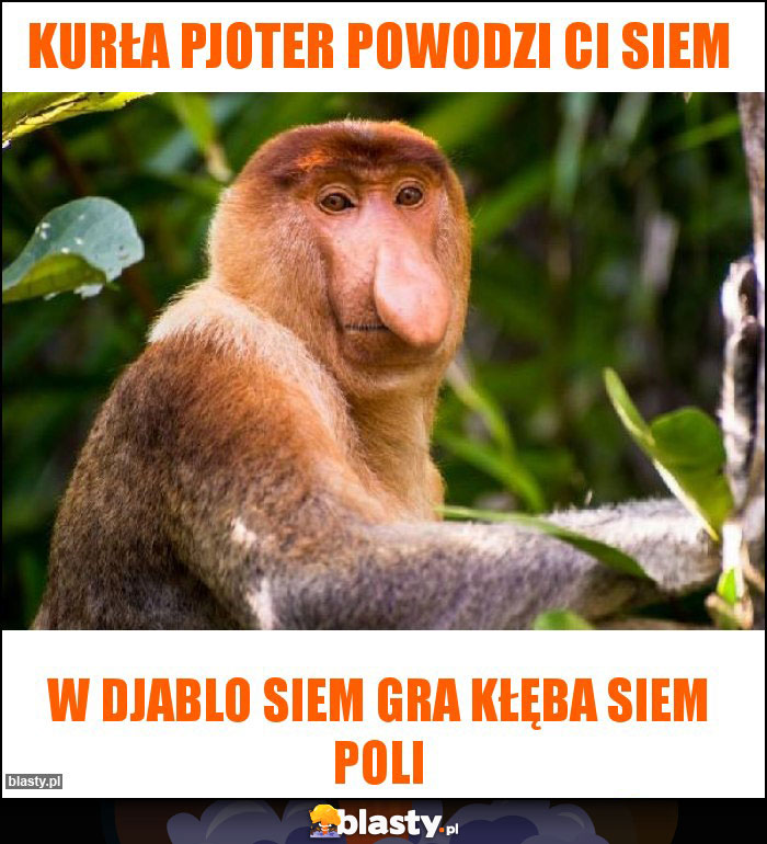 Kurła pjoter powodzi Ci siem Kurła pjoter powodzi Ci siem