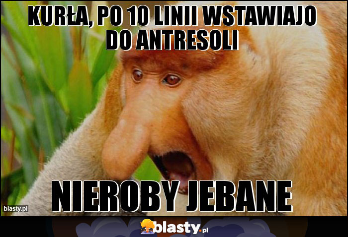 Kurła, po 10 linii wstawiajo do antresoli Kurła, po 10 linii wstawiajo do antresoli
