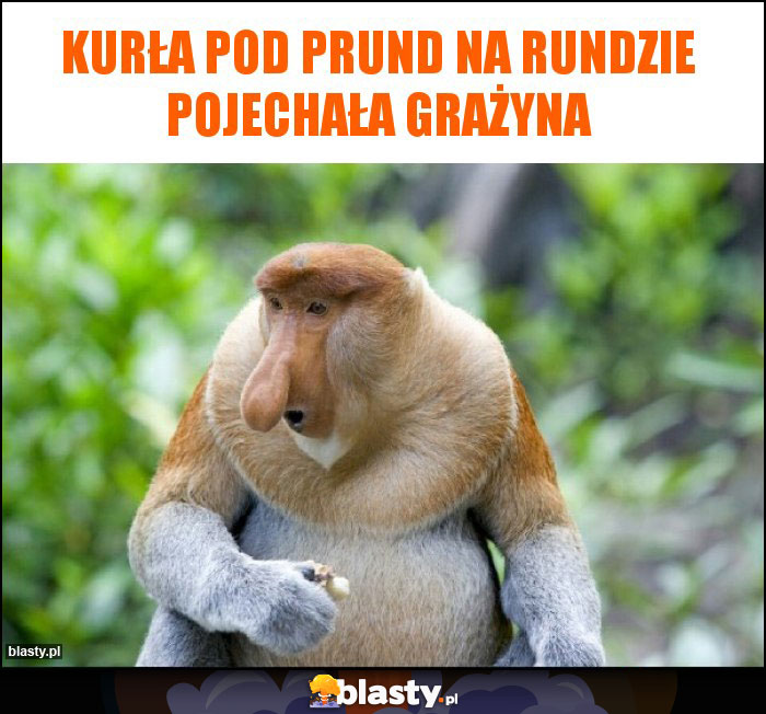 Kurła pod prund na rundzie pojechała grażyna Kurła pod prund na rundzie pojechała grażyna