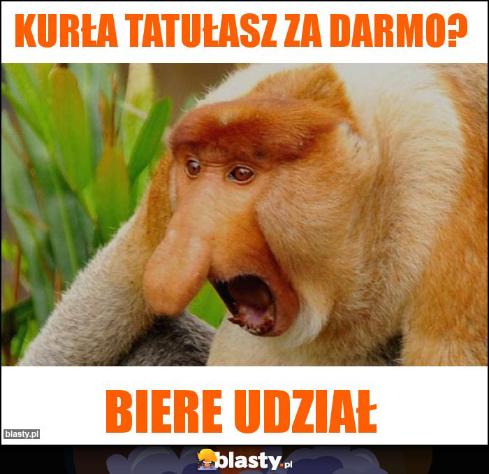 Kurła tatułasz za darmo? Kurła tatułasz za darmo?
