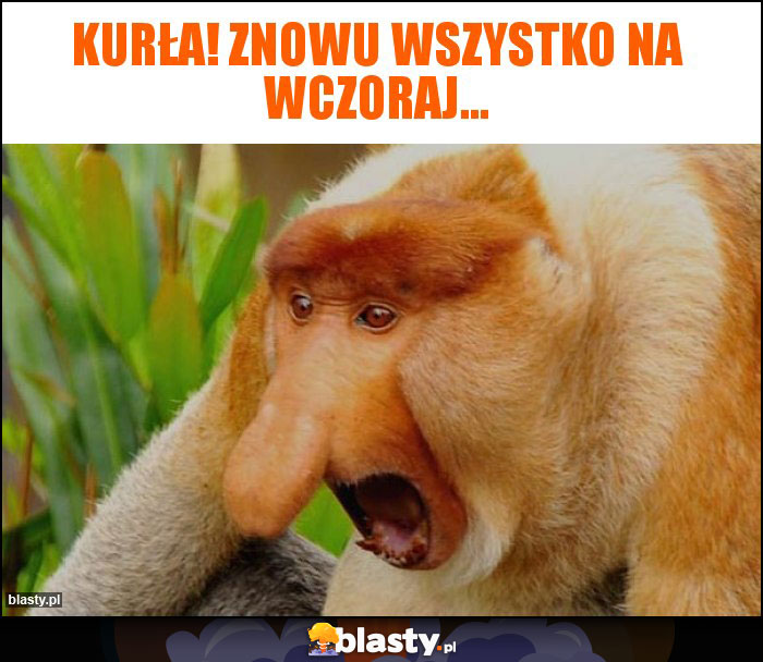 Kurła! Znowu wszystko na wczoraj... Kurła! Znowu wszystko na wczoraj...