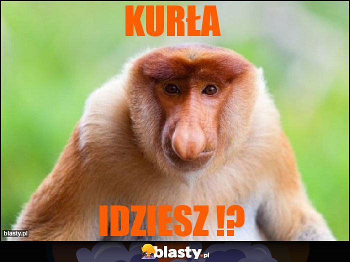 KURŁA