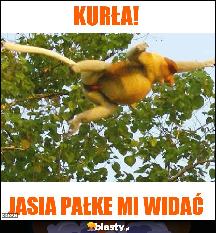 Kurła!