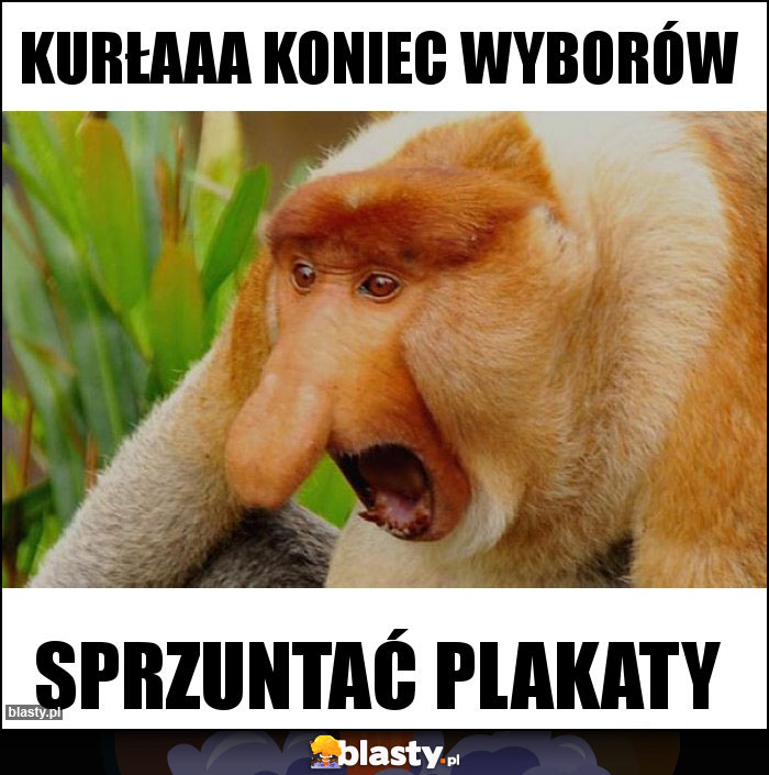 Kurłaaa koniec wyborów Kurłaaa koniec wyborów