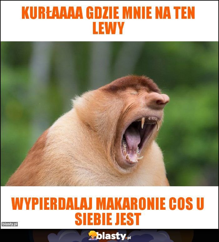 Kurłaaaa gdzie mnie na ten lewy Kurłaaaa gdzie mnie na ten lewy