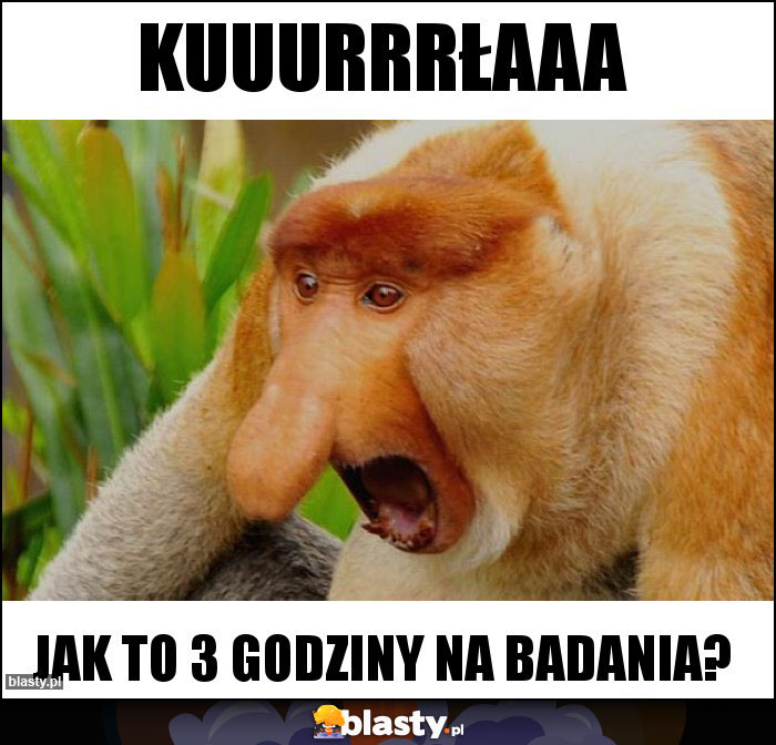 KUUURRRŁAAA KUUURRRŁAAA