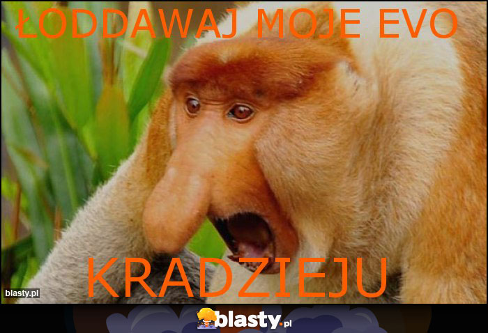 Łoddawaj moje evo Łoddawaj moje evo