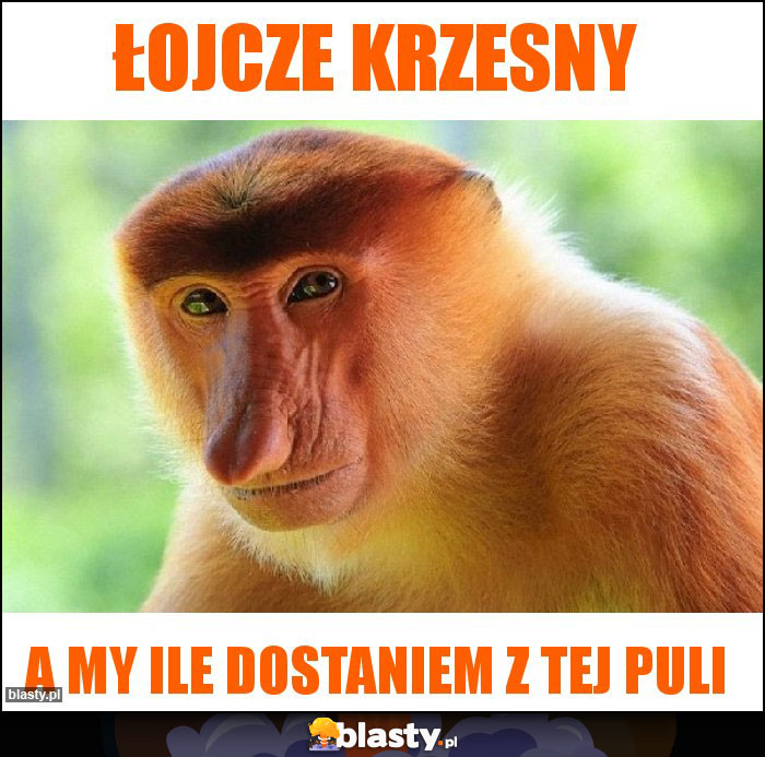 łojcze krzesny łojcze krzesny