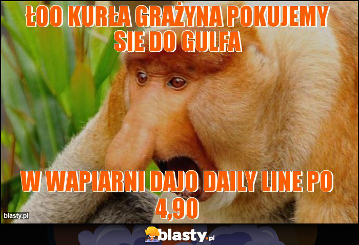 łoo kurła Grażyna pokujemy sie do gulfa łoo kurła Grażyna pokujemy sie do gulfa