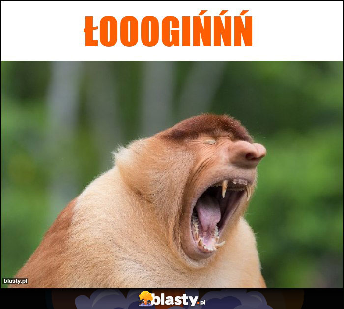 ŁoooGIŃŃŃ