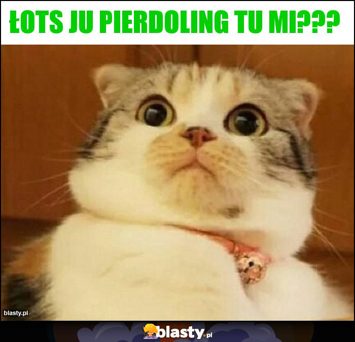 Łots ju pierdoling tu mi???