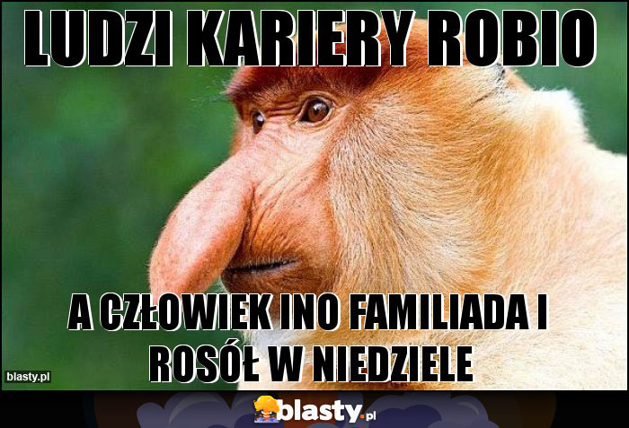 LUDZI KARIERY ROBIO