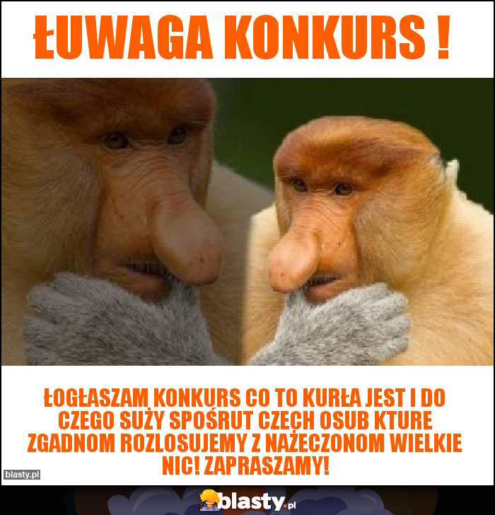 ŁUWAGA KONKURS ! ŁUWAGA KONKURS !