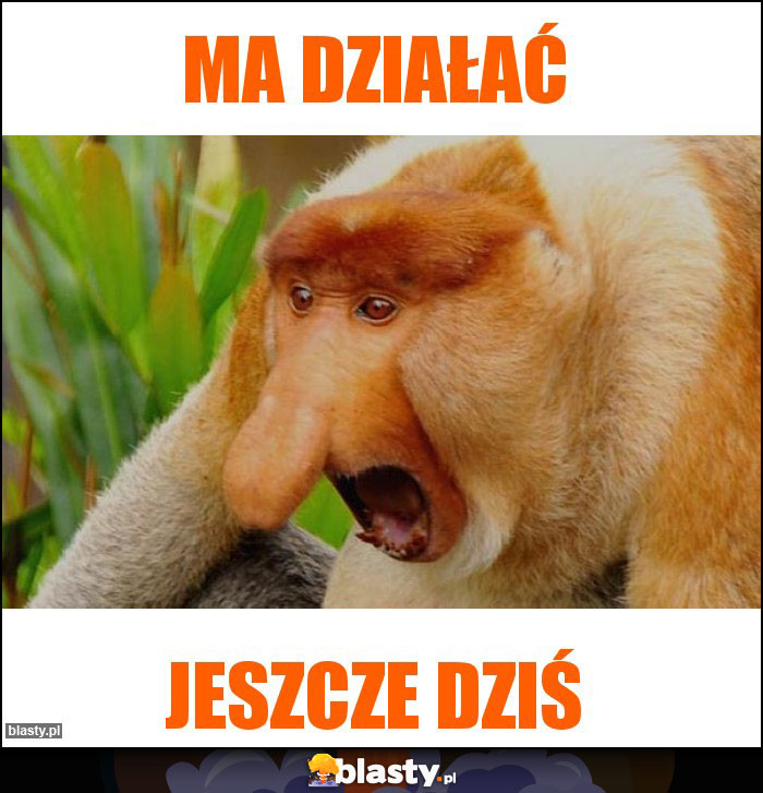 MA DZIAŁAĆ MA DZIAŁAĆ