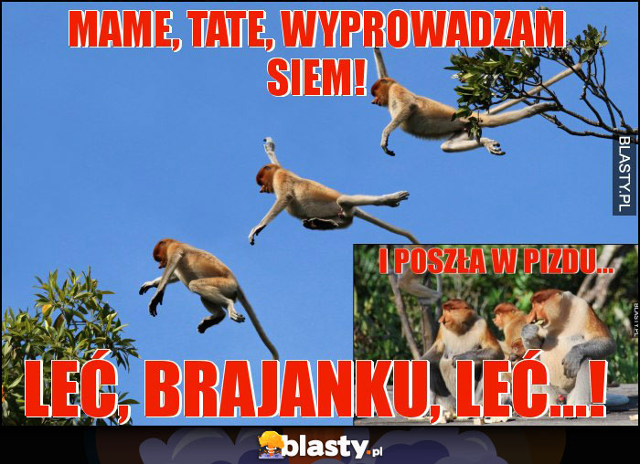Mame, tate, wyprowadzam siem!