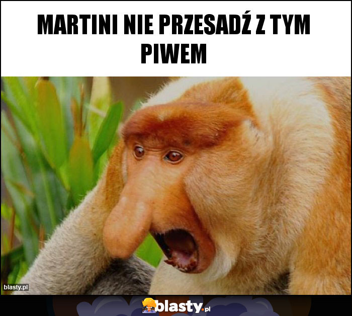Martini nie przesadź z tym piwem Martini nie przesadź z tym piwem
