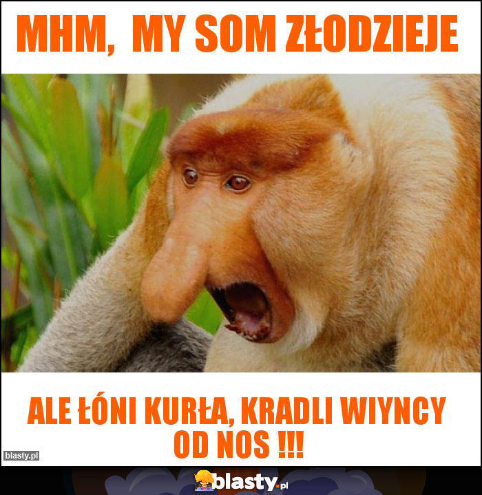 Mhm,  my som złodzieje