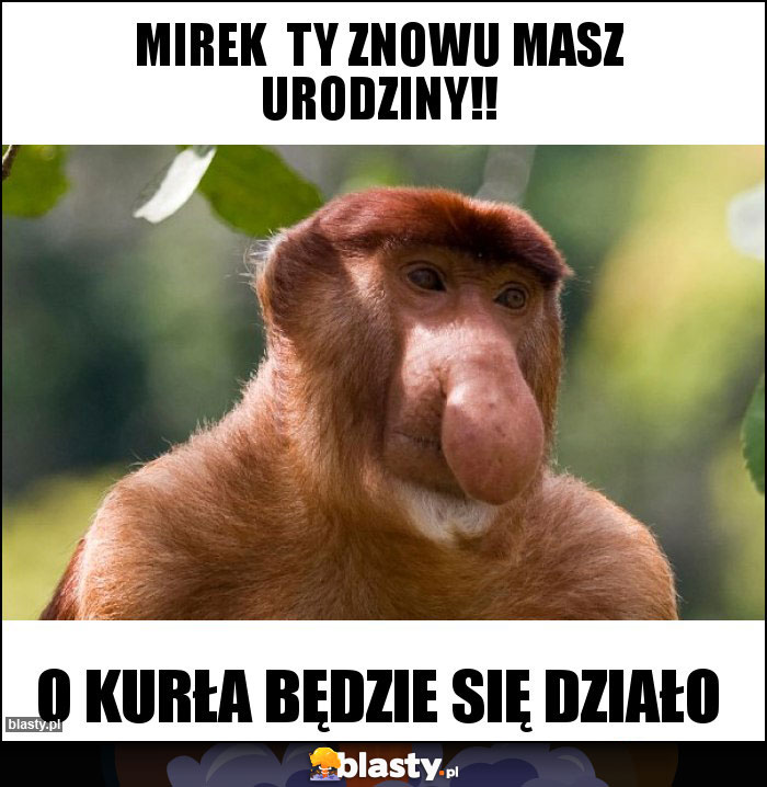 Mirek ty znowu masz urodziny!! Mirek ty znowu masz urodziny!!