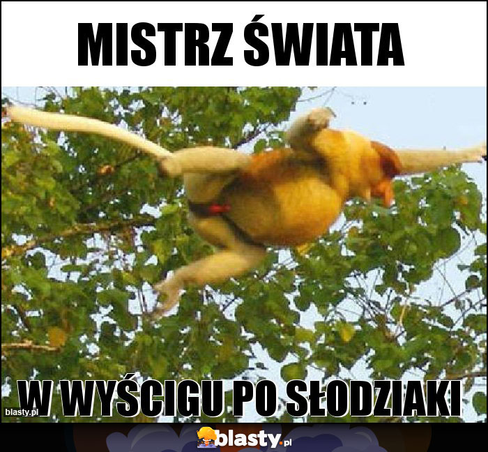 Mistrz świata Mistrz świata
