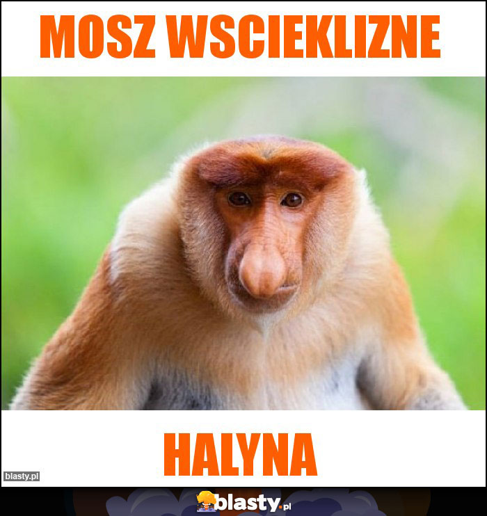 Mosz wscieklizne Mosz wscieklizne