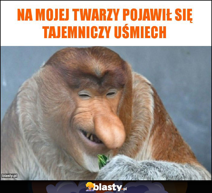Na mojej twarzy pojawił się tajemniczy uśmiech