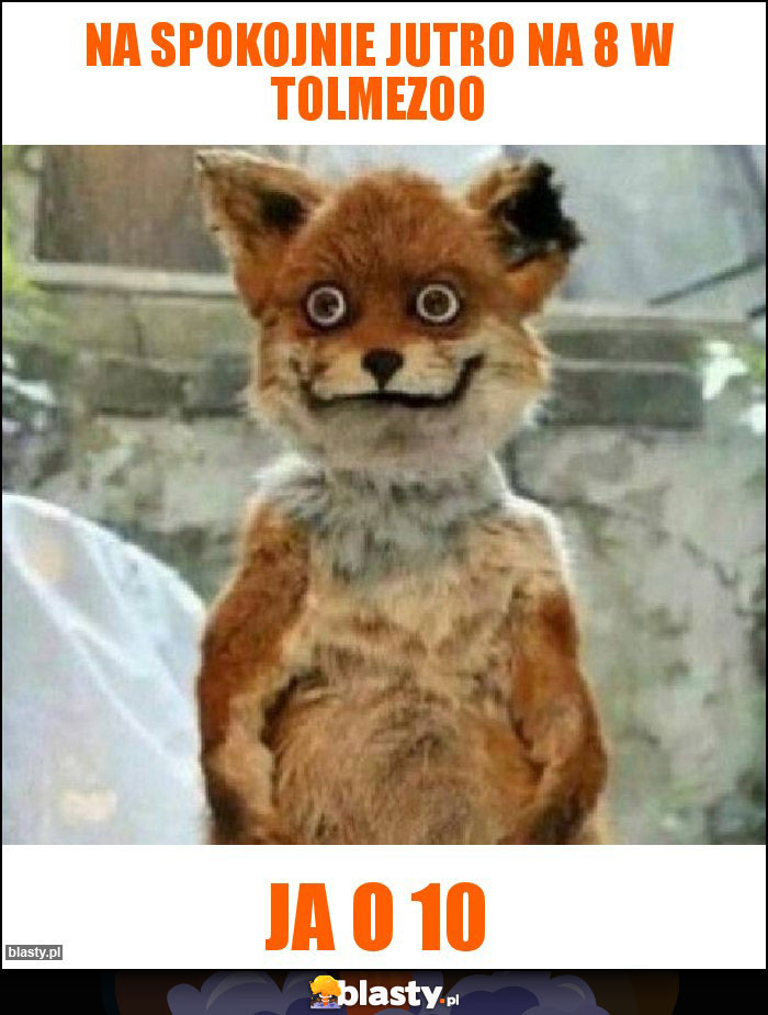 Na spokojnie jutro na 8 w tolmezoo Na spokojnie jutro na 8 w tolmezoo