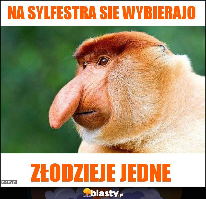 na sylfestra sie wybierajo na sylfestra sie wybierajo