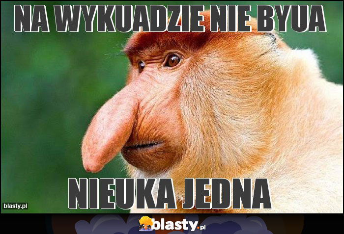 Na wykuadzie nie byua Na wykuadzie nie byua
